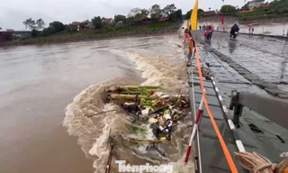 Lũ sông Hồng lên cao, cầu phao Phong Châu dừng hoạt động