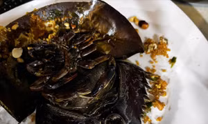 3 người bị nhiễm độc sau khi ăn sam tại quán ốc ở Cà Mau