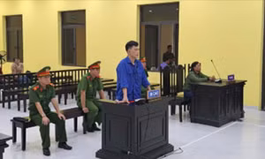 'Nghịch tử' đánh mẹ, chống người thi hành công vụ lĩnh án