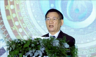 Việt Nam đứng thứ 2 Đông Nam Á về chỉ số phát triển bền vững