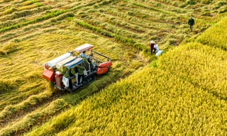 '80 năm qua, nông dân là người vẽ nên con đường đổi mới của đất nước'