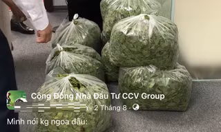 Vụ CCV Group: Từng giới thiệu 'cắt rau ra tiền' lừa hàng trăm người 