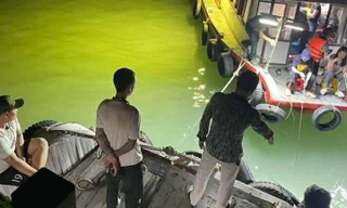 Rầm rộ bán ‘tour câu mực đêm’ trái phép trên vịnh Hạ Long