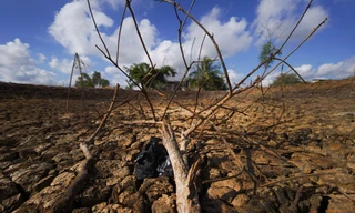 Biến đổi khí hậu: ĐBSCL là một trong những khu vực chịu tác động lớn nhất trên thế giới