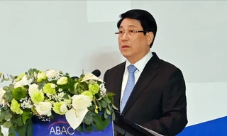 Chủ tịch nước: 'Việt Nam đang nỗ lực mạnh mẽ để trở thành quốc gia phát triển'