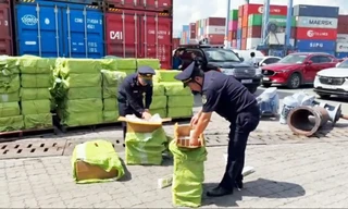 Phê bình Chi cục Hải quan khu vực II vì nhiều cán bộ vi phạm kỷ luật