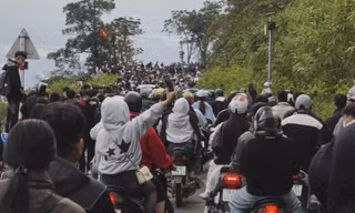 Hơn 13.000 người đổ xô tới Ba Vì ngắm hoa dã quỳ trong buổi sáng, ùn tắc kéo dài