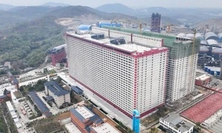 'Chung cư' cho lợn - Giải pháp mới cho ngành chăn nuôi Việt Nam