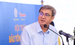 Săn bắt trái phép chim yến ngày càng phức tạp, nghiêm trọng
