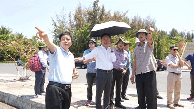 BTC Rà soát thực địa, sẵn sàng cho Giải Vô địch Quốc gia Marathon - Báo Tiền Phong lần thứ 67