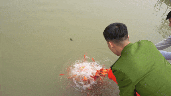 Công an, thanh niên tình nguyện giúp người dân thả cá ngày ông Công ông Táo