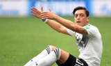 Mesut Ozil bị chế nhạo là con ếch chết.