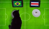 "Tiên tri" mèo đen dự đoán Brazil là đội giành chiến thắng.