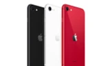 iPhone SE 2020 giúp Apple ‘thắng đậm’