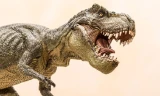 Những sự thật bất ngờ và thú vị về loài khủng long bạo chúa