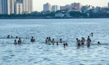 Nắng nóng hơn 40 độ C, người Hà Nội 'biến' hồ Tây thành bể bơi giải nhiệt