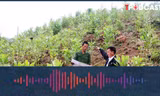 Lý do chỉ có 1 trường hợp hộ gia đình được giao đất ở theo Luật mới?