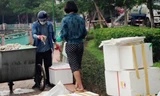 Điều tra hình ảnh đôi nam nữ lấy cá chết Hồ Tây cho vào hộp xốp