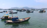 Đảo Nam Du