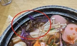 Hà Nội: Khách hoảng sợ phát hiện con gián 'phơi bụng' trong bát mỳ