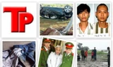 Bản tin Hình sự 18H: Khởi tố vụ án CSGT lái xe BMW gây tai nạn thảm khốc