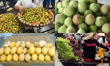 Bốn loại quả Trung Quốc đội lốt hàng sạch lừa dân Việt
