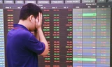 Cổ phiếu la liệt nằm sàn, chứng khoán Việt Nam giảm mạnh nhất thế giới