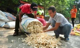 Tỏi Lý Sơn được đổ thành đống tại sân chơi khu K3