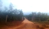 Đoạn đường 780m đi qua trang trại rộng 20ha của tư nhân trên địa bàn xã Tân Thành
