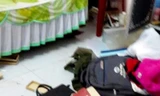Kẻ gian lục tung đồ đạc để trộm vàng