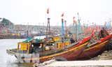 Hàng nghìn con tàu nằm bờ do giá xăng dầu tăng kỷ lục