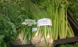 Metro, BigC, Lottemart Hà Nội 'bị lừa' bán rau không rõ nguồn gốc