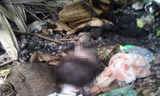Hiện trường cháu bé bị vứt ra bãi rác đốt cháy thương tâm