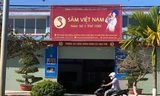 Trụ sở Công ty Sâm Việt Nam 