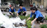 Các đoàn viên thanh niên tham gia xây dựng tuyến đường hoa Bà Triệu. Ảnh: Kinh tế&Đô thị
