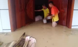 Cận cảnh cuộc sống người dân ngập trong biển nước do tràn đê bối ở Bắc Giang