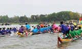 Người dân ở các xã ven phá Tam Giang hay tổ chức những cuộc đua ghe truyền thống với mục đích cầu cho mưa thuận gió hòa, tuy nhiên ở một số giải đua hay xảy ra đánh nhau. Ảnh minh họa: Đắc Đức