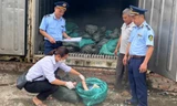 Bắt giữ trên 1,5 tấn móng giò lợn ở Lạng Sơn. Ảnh: Duy Chiến 