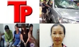 Bản tin Hình sự 18H: Bị đánh bằng gậy sắt, thiếu nữ phải tiếp 5 khách/ngày