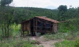 Căn chòi nơi xảy ra vụ việc