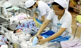 Nhân viên y tế chăm sóc cho trẻ sơ sinh. Ảnh minh họa. Nguồn: TTXVN