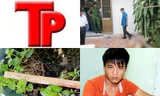 Bản tin Hình sự 18H: Xin đểu không được, giết một mạng người