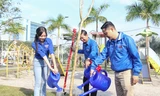 Hoa hậu Thanh Thủy cùng bạn trẻ Đà Nẵng hưởng ứng Tết trồng cây