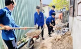'Áo xanh' đội nắng giúp hộ khó khăn sửa chữa, xây mới nhà cửa