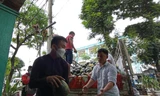 Người Đà Nẵng xúm tay giúp nông dân Quảng Nam tiêu thụ dưa hấu bị ngập