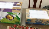 Bị khởi tố vì lên mạng học chế pháo hoa bằng thuốc nổ, mang ra đường đốt thử 