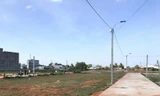 Cách chức Giám đốc Trung tâm Phát triển quỹ đất Bình Thuận