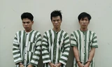 3 đối tượng cướp xe ô tô vừa bị bắt giữ