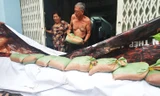 Người Sài Gòn xây 'lô cốt' chống ngập