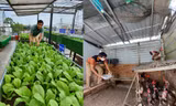 Vườn rau sân thượng giúp gia đình ở TPHCM mấy tháng mùa dịch không cần rời nhà 